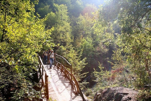 Olympus Hotel Villa Drosos (Dion-Olympos - Litochoron)